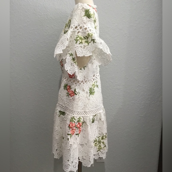 Saylor - Picture 2 of 4